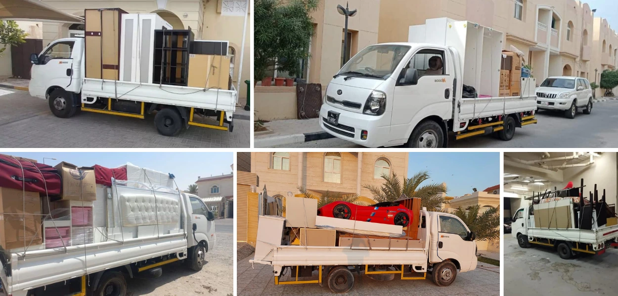 Moving & Shifting Services